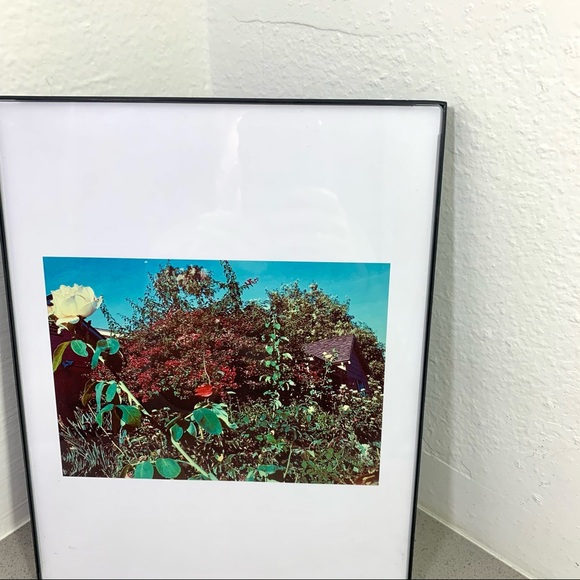 Lovely Star Original Photography Print - Picture 5 of 10